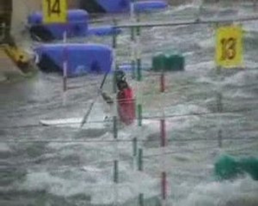 Frances Cergy 2008 Pierre Labarelle