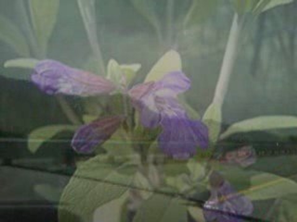 a day in the life feat gravity puppet belongings