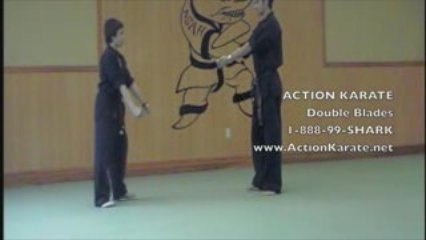 Double Blades Action Karate