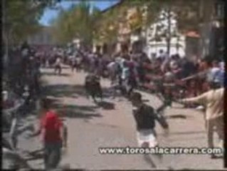 encierros en san martin de la vega 2003