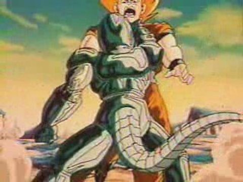 Sangoku Vegeta et metal-cooler VF