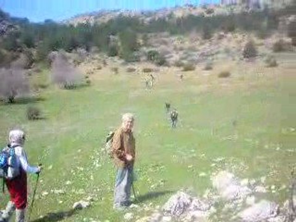 Direkli_üstü