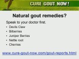 The Top Herbal Remedies For Gout - Herbs For Gout