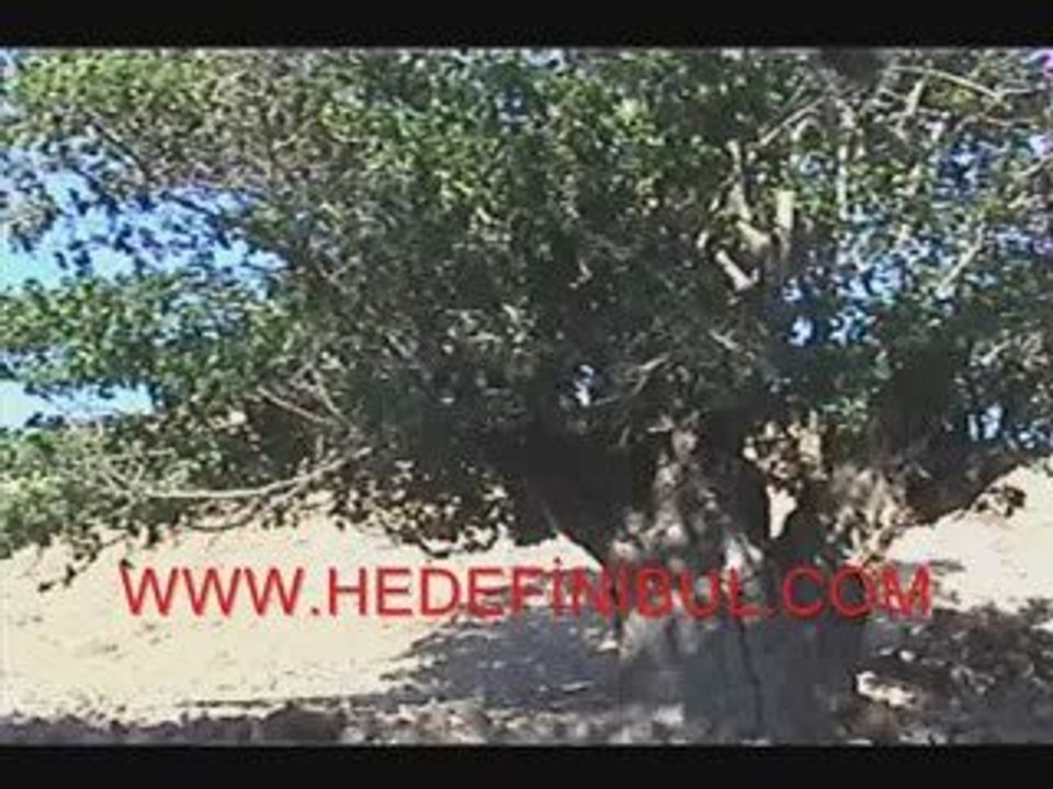 Hatiralar - www.hedefinibul.com