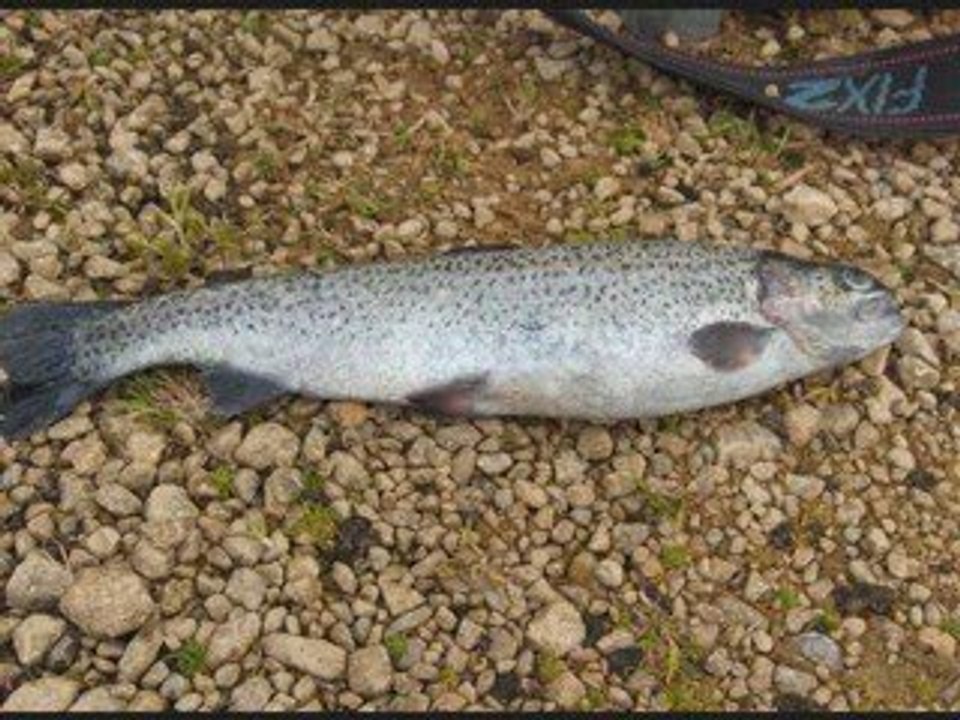 Bilan de peche de Nicolas-essais1