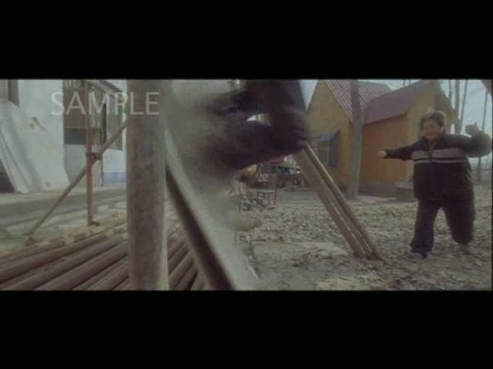 Wushu - Combat de Rue Suite