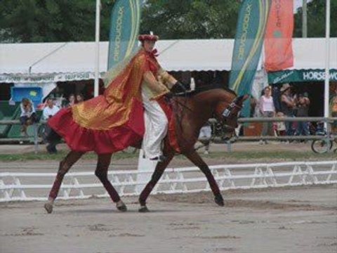 Lamotte beuvron dressage