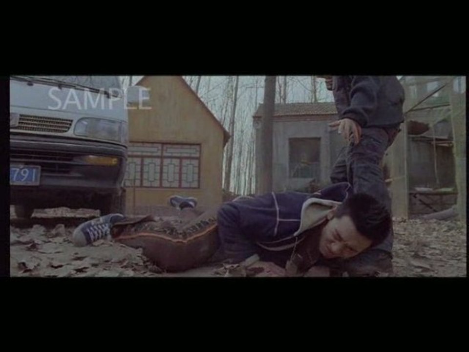 Wushu - Combat de Rue
