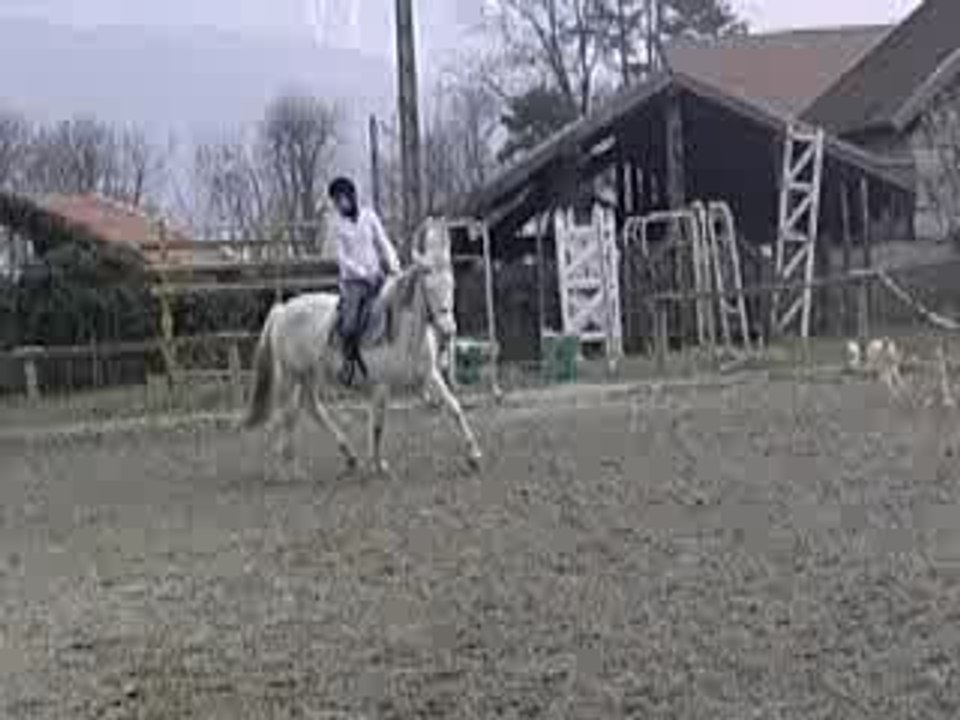 Vidéo Saphir 13 *