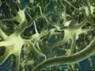 1/3 La nature des pensées selon la Neurophysique - Eveil