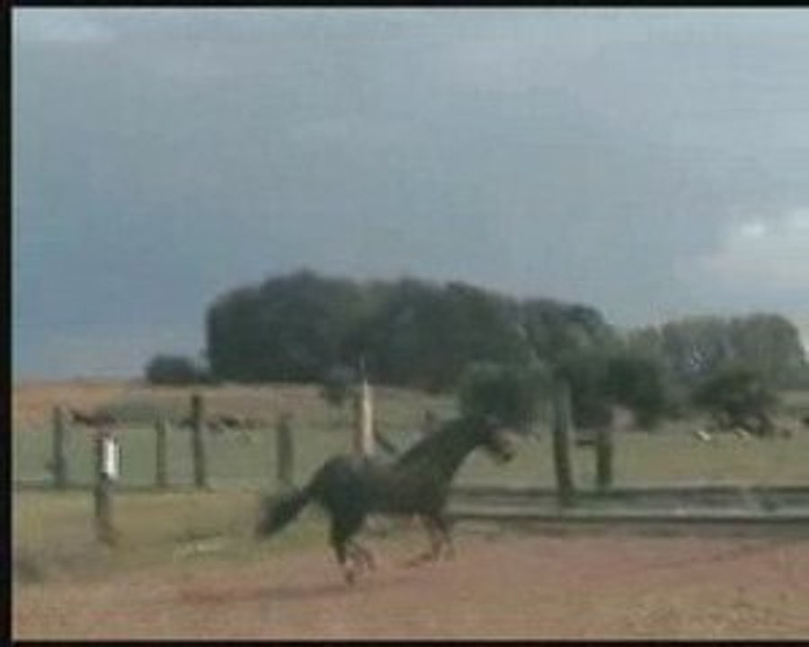 quickie son premier saut en liberte