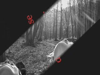 Angel et moi dans les bois