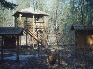Puszcza Białowieska- Miejsce Mocy