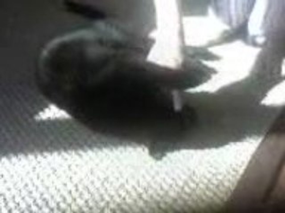 blackou 25-07-07