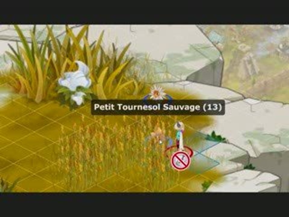 Sacrieur a Dead-Master dofus silouate