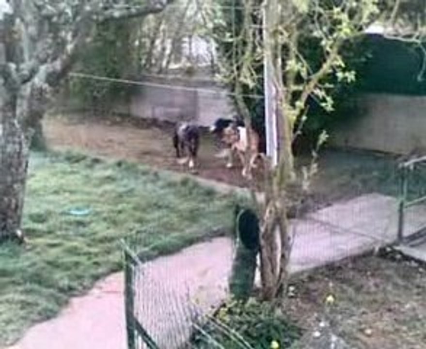 UN ¨peu de jeu dans la douce matinee