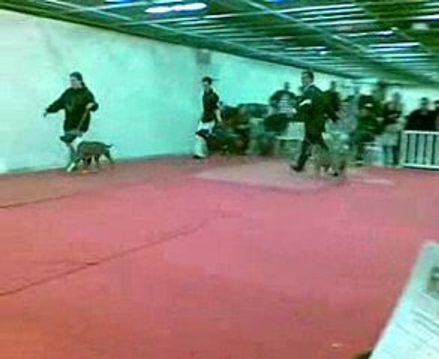 Le Futur Champ de HANDLING!!