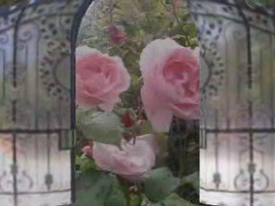 CANTIQUE DES CANTIQUES