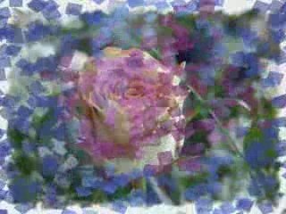 CAN AHMED'İM(S.A.V.) OLMASAYDI