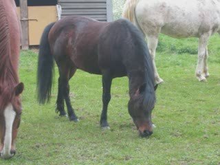 Début vacances Paques