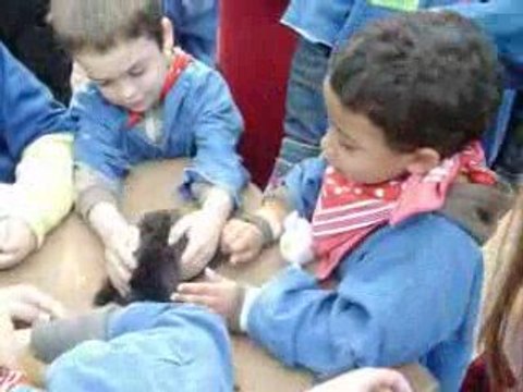 CENTERPARCS BELGIQUE QUAND JE SERAI GRAND