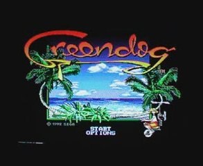 Videotest Greendog (megadrive)