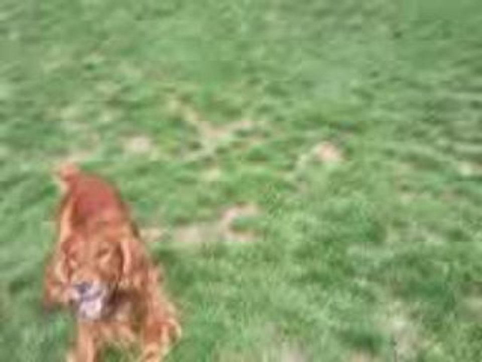Vidéo0017