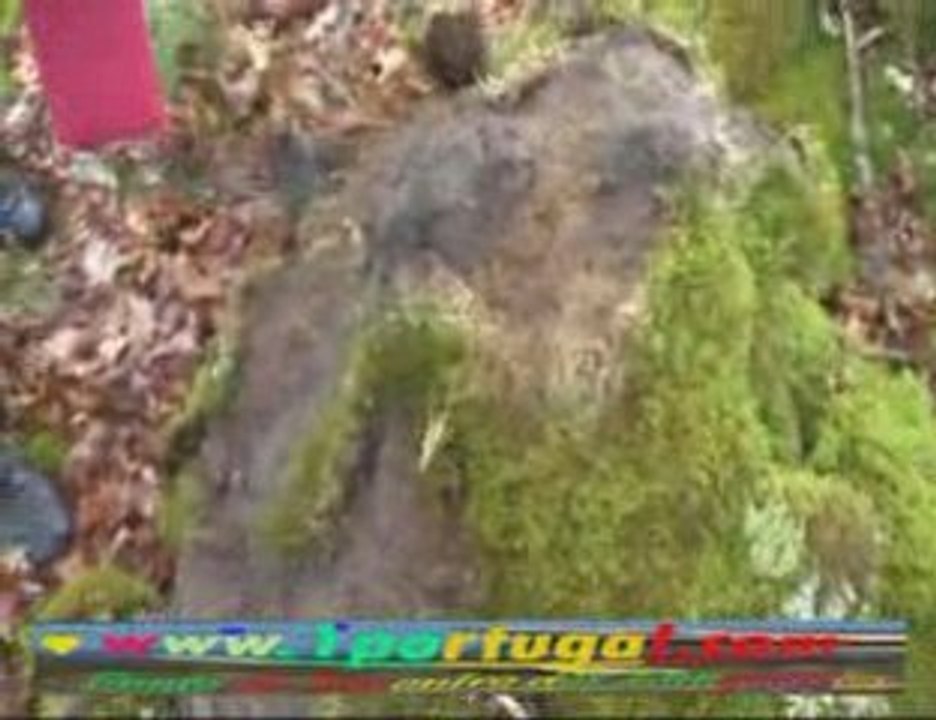 Vulcania - Clermont Ferrand - abril 2009 - N.2