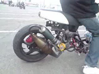 proto foull mhr