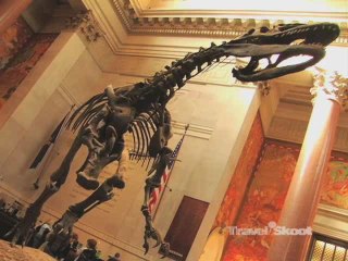 Best Museums and Culture in New York City