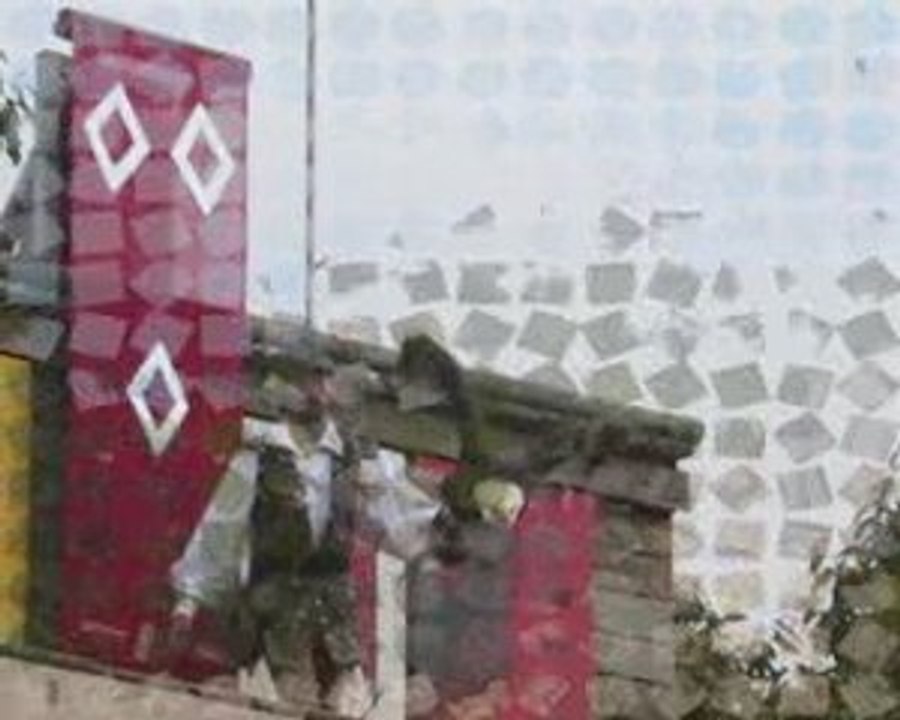 Puy du Fou : Bal des oiseaux