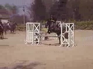 moi et newton détente vertical