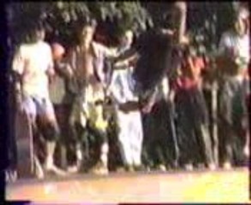 Paris skate hosoi gator 1987