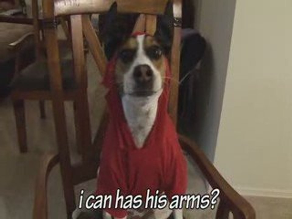 Doggy Devil