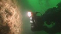 A Dive with Wolf Eels