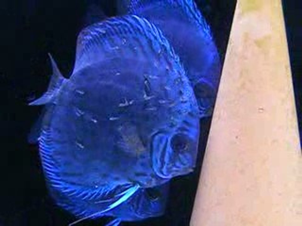 DSCF2881