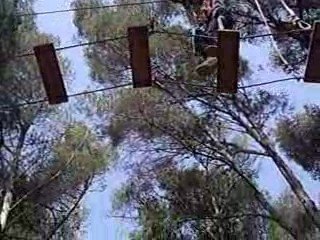 ACCROBRANCHE 14 AVRIL 2009 39