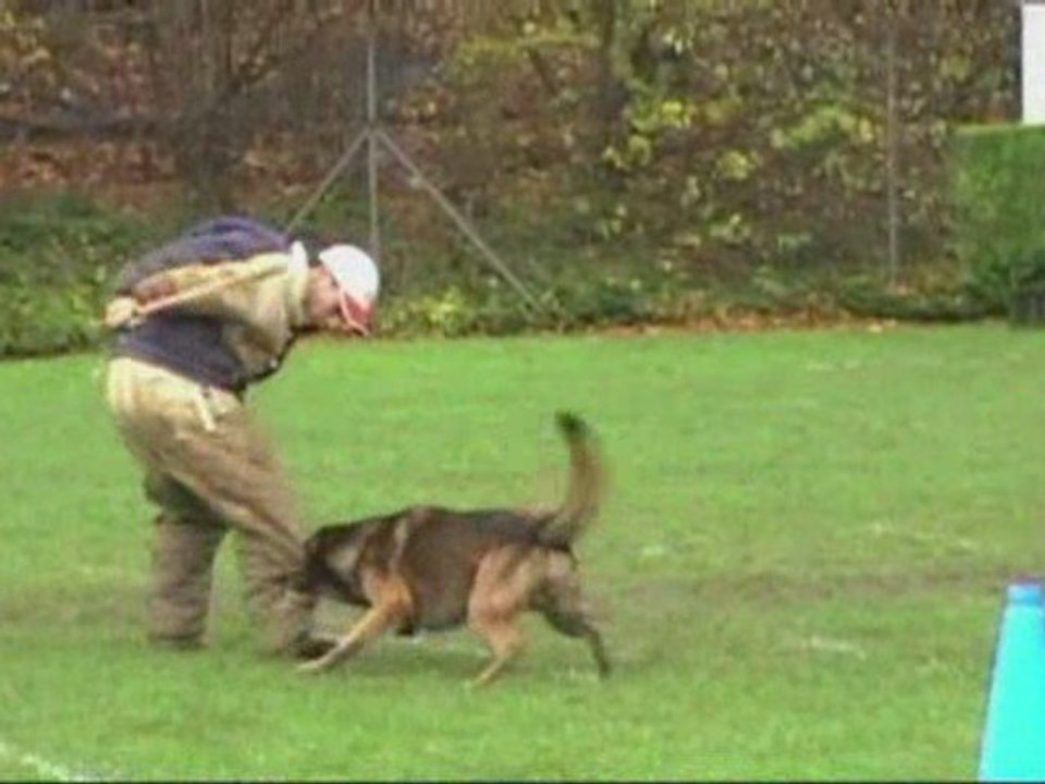 Salto du King de Lorraine Ring 3 Mondelange2007