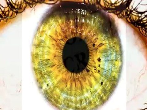 Google Adwords Secrets - Manifesto