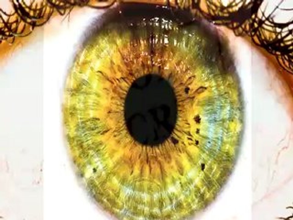 Google Adwords Secrets - Manifesto