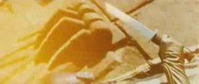 TV Spot -