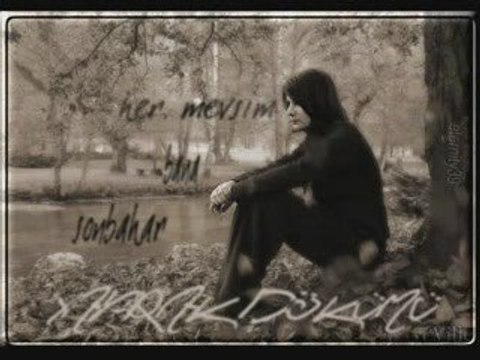 Toygar ışıklı [kalbimdeki sancı]