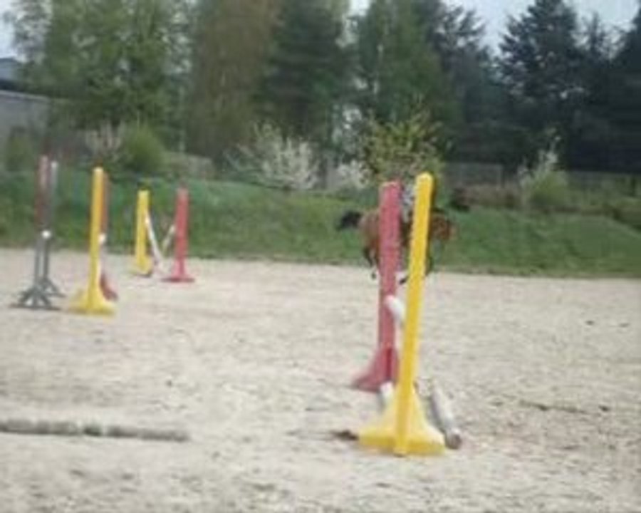 galopade