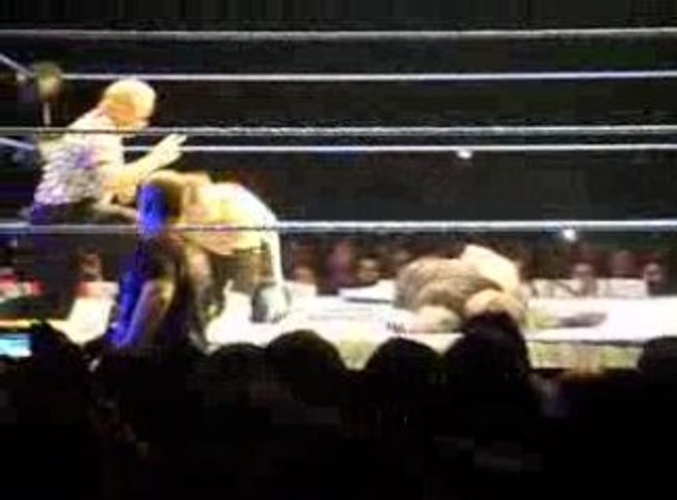 Jeff & Matt Hardy Street Fight Strasbourg Partie 2