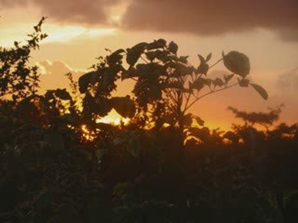 COUCHER DE SOLEIL EN GUADELOUPE