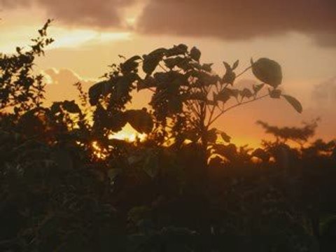 COUCHER DE SOLEIL EN GUADELOUPE