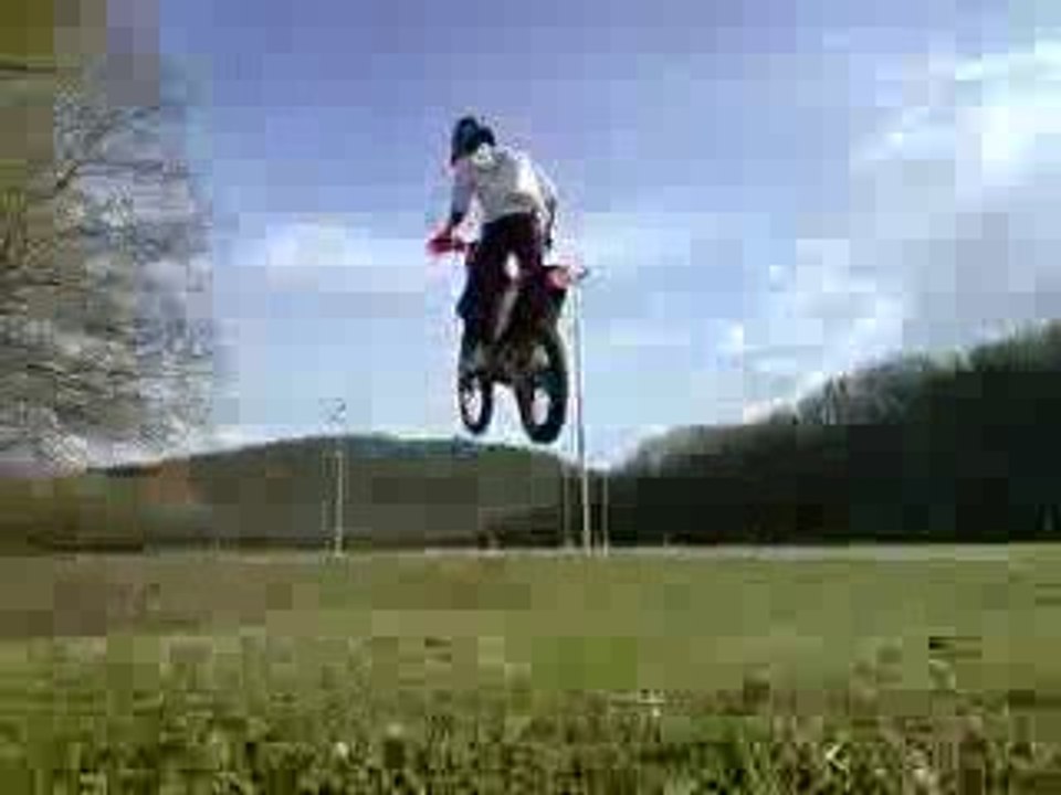 loic