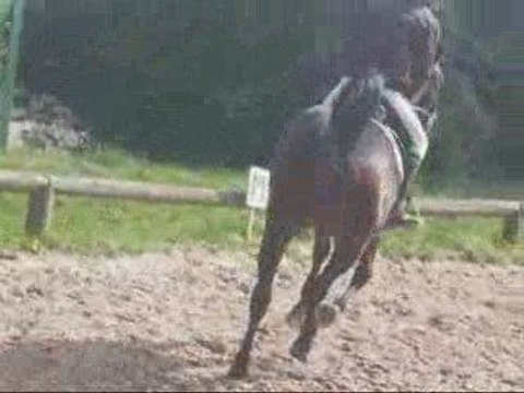 Galop 5 - Reprise de dressage avec Mohican