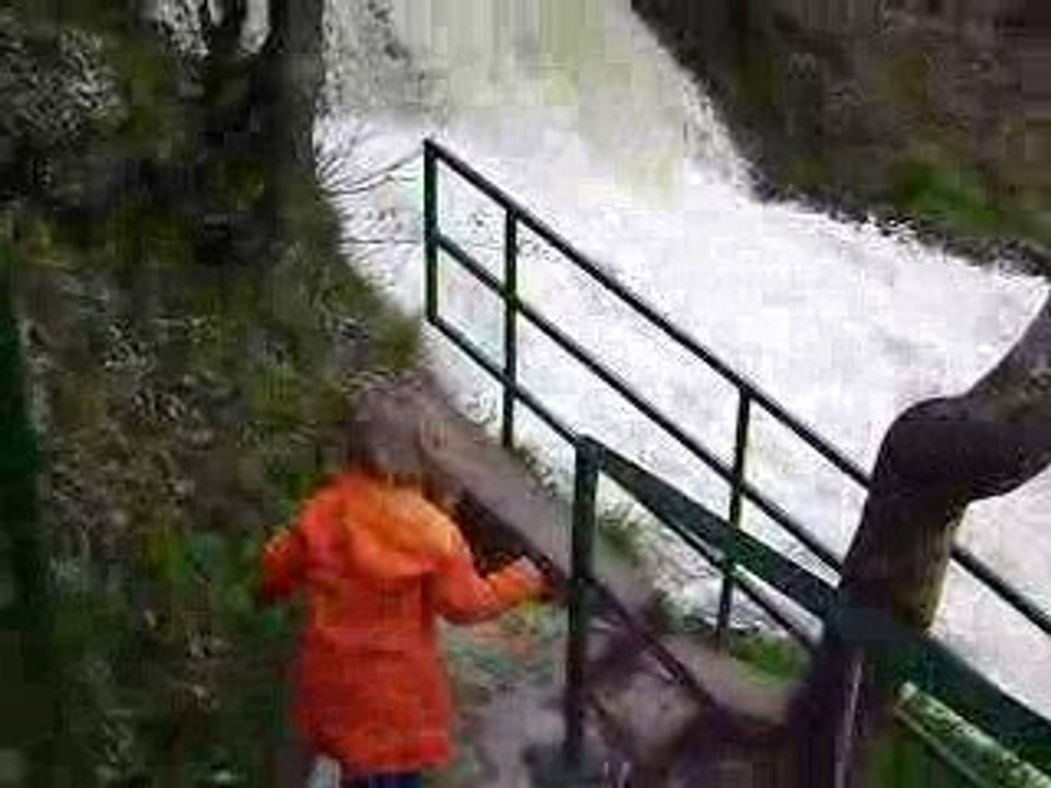 Vidéo à coo - 18 04 2009