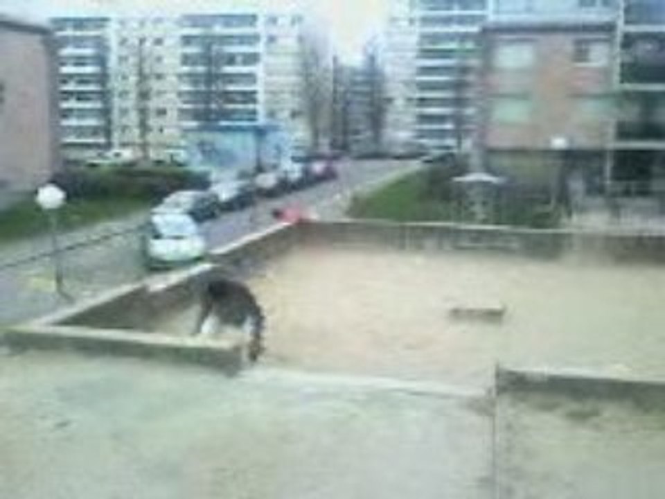 Salto 2